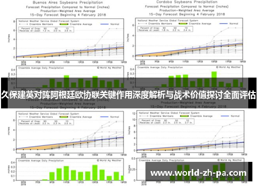 久保建英对阵阿根廷欧协联关键作用深度解析与战术价值探讨全面评估